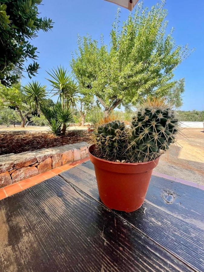 Apartament Residenza Fumarola Ostuni Zewnętrze zdjęcie