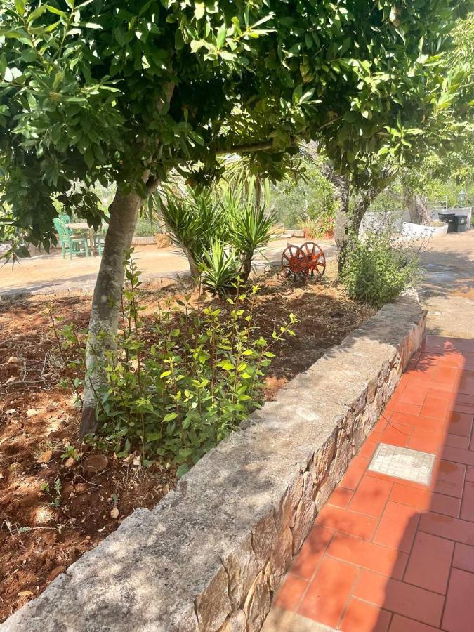 Apartament Residenza Fumarola Ostuni Zewnętrze zdjęcie