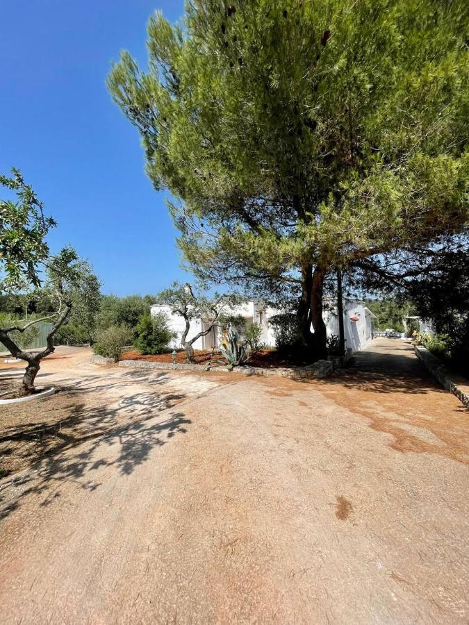 Apartament Residenza Fumarola Ostuni Zewnętrze zdjęcie